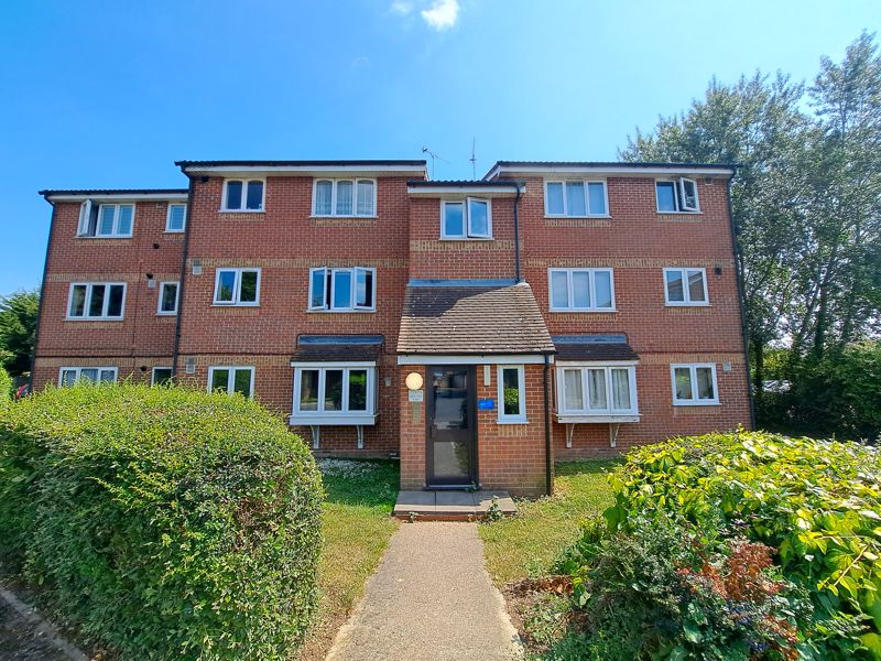 Main Image